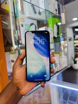 Apple iPhone 12 Pro Max 512 GB Blue
