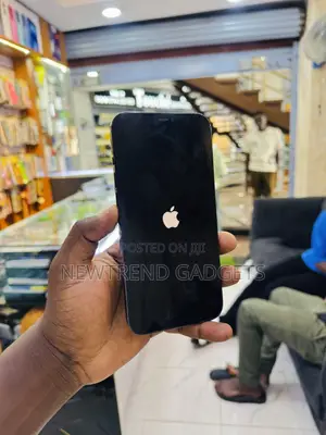 Apple iPhone 12 Pro Max 256 GB Blue