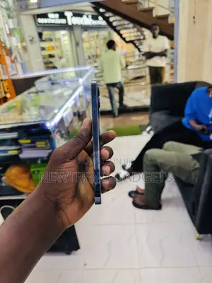 Apple iPhone 12 Pro Max 256 GB Blue