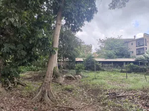 Property and Land