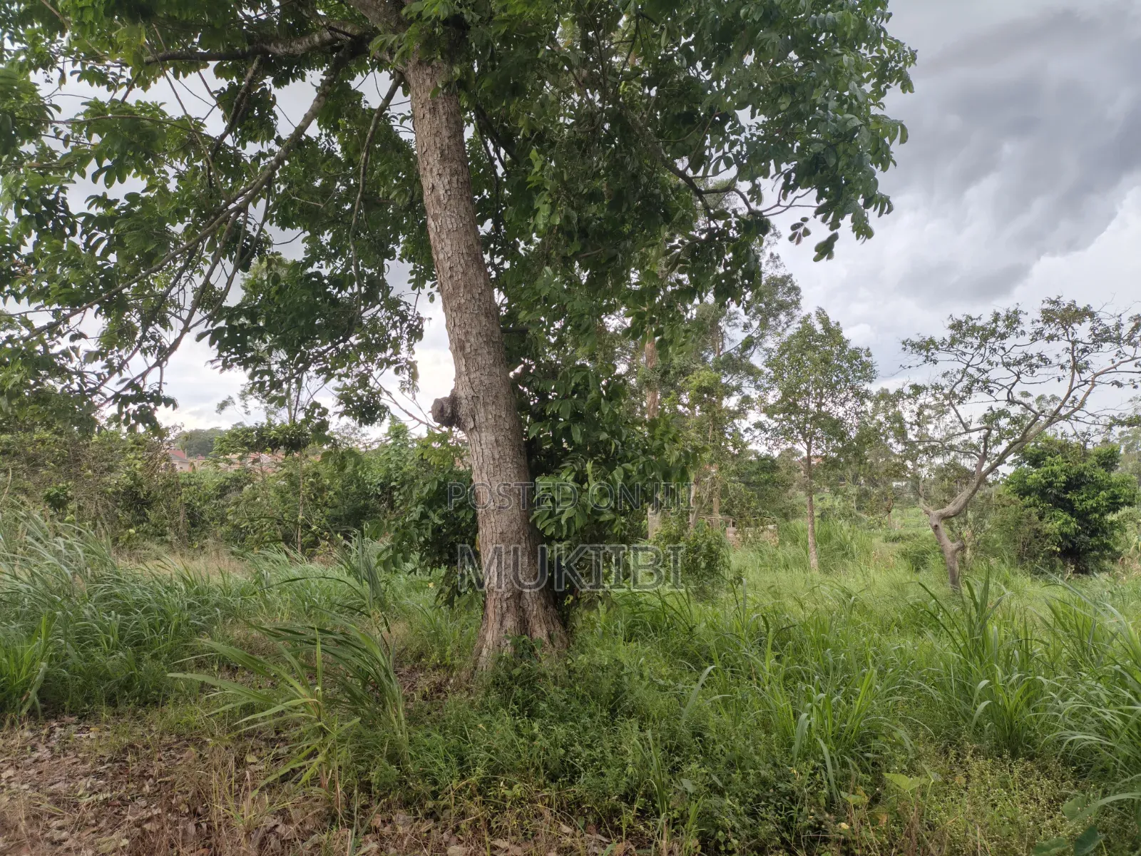 Property and Land
