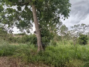 Property and Land