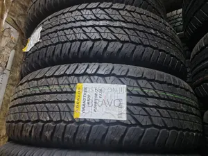 265/70r17 Dunlop AT20 Design From Japan
