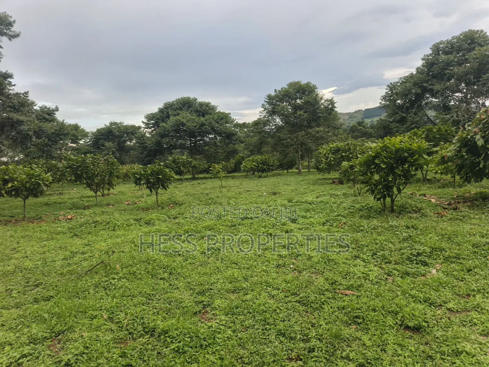 Commercial Land on Sale