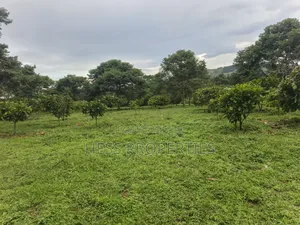 Commercial Land on Sale