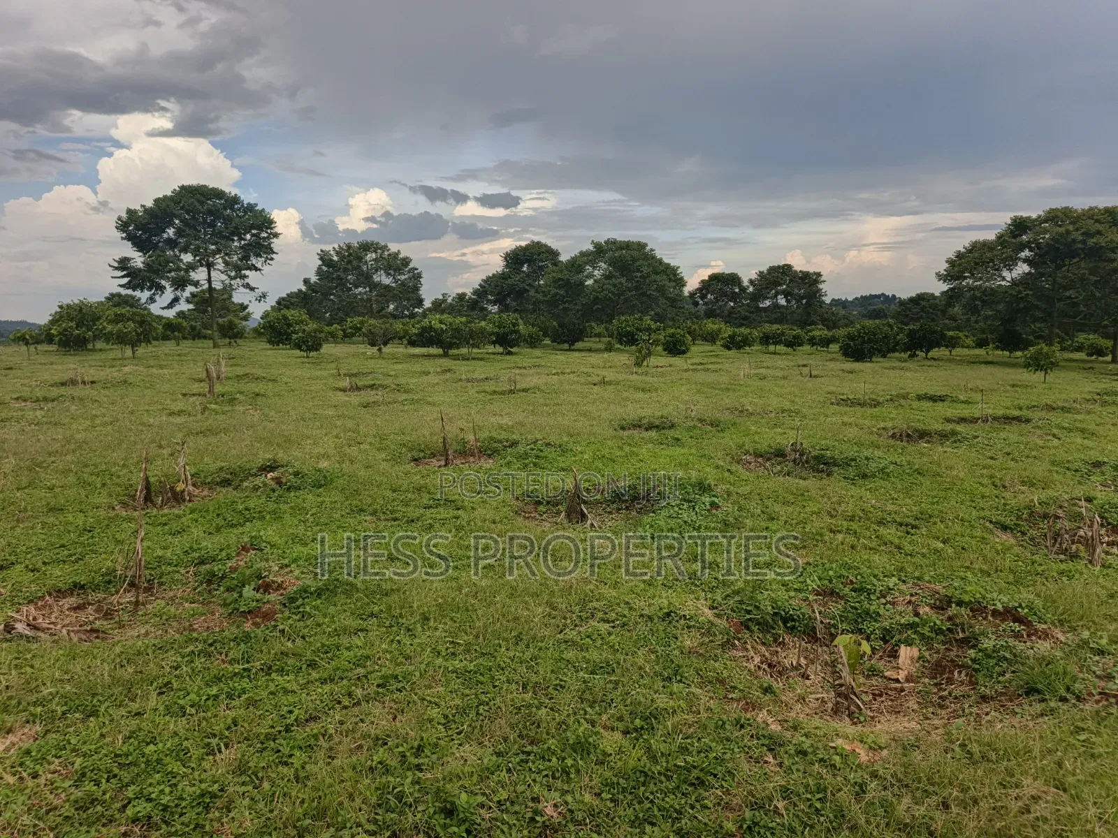 Commercial Land on Sale