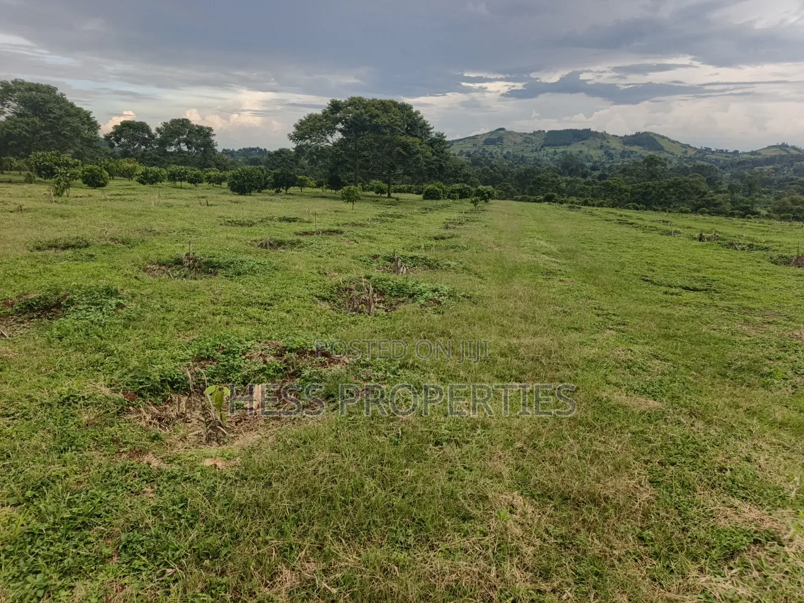 Commercial Land on Sale