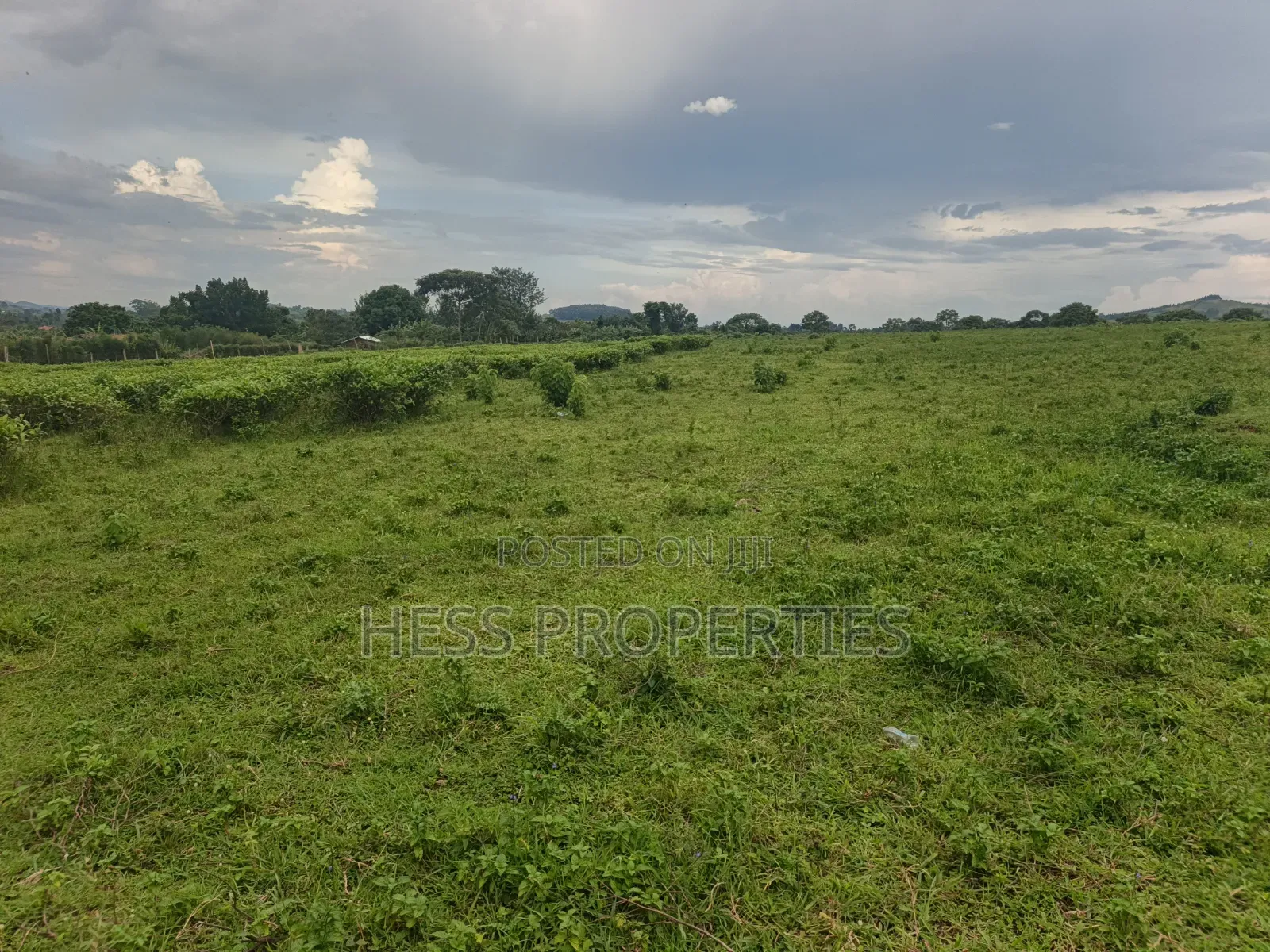 Commercial Land on Sale