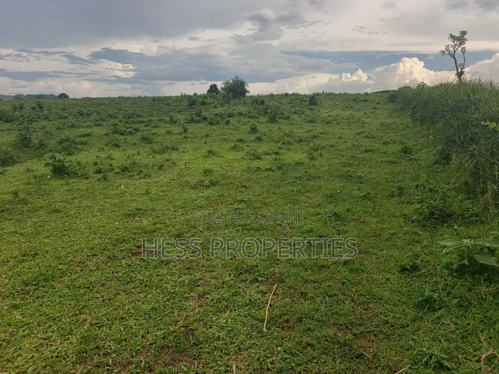 Commercial Land on Sale
