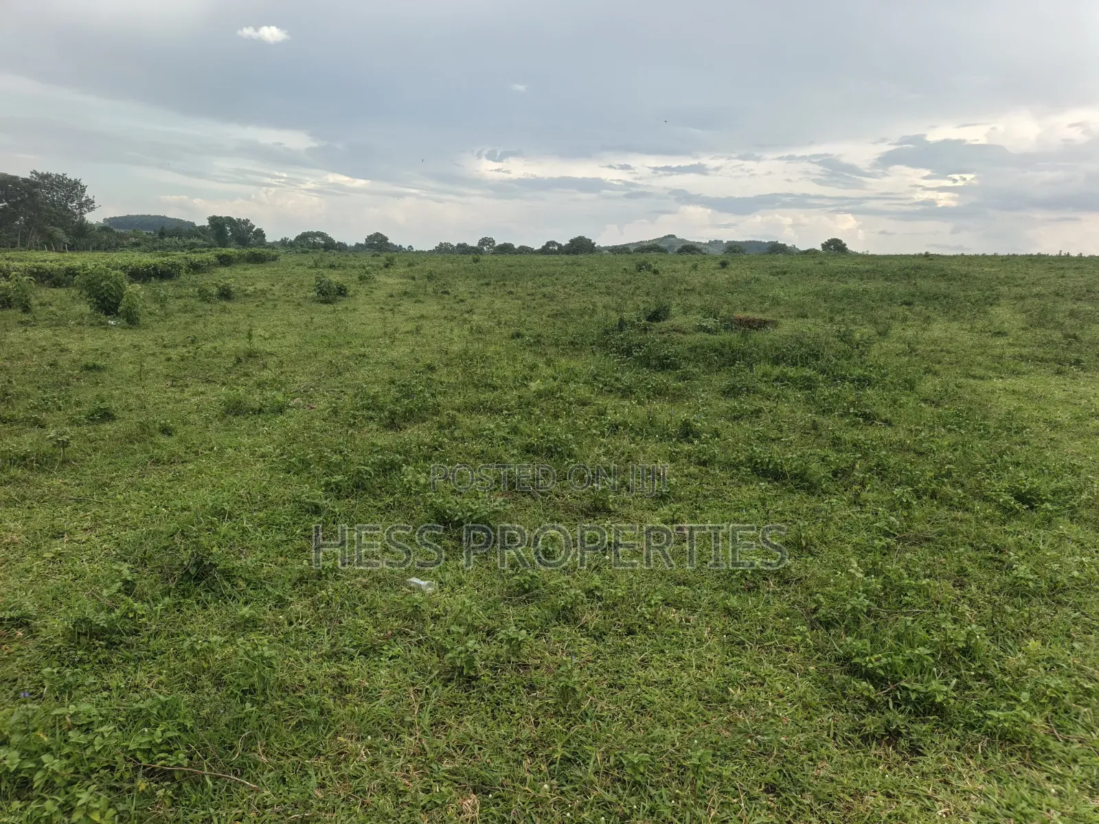 Commercial Land on Sale