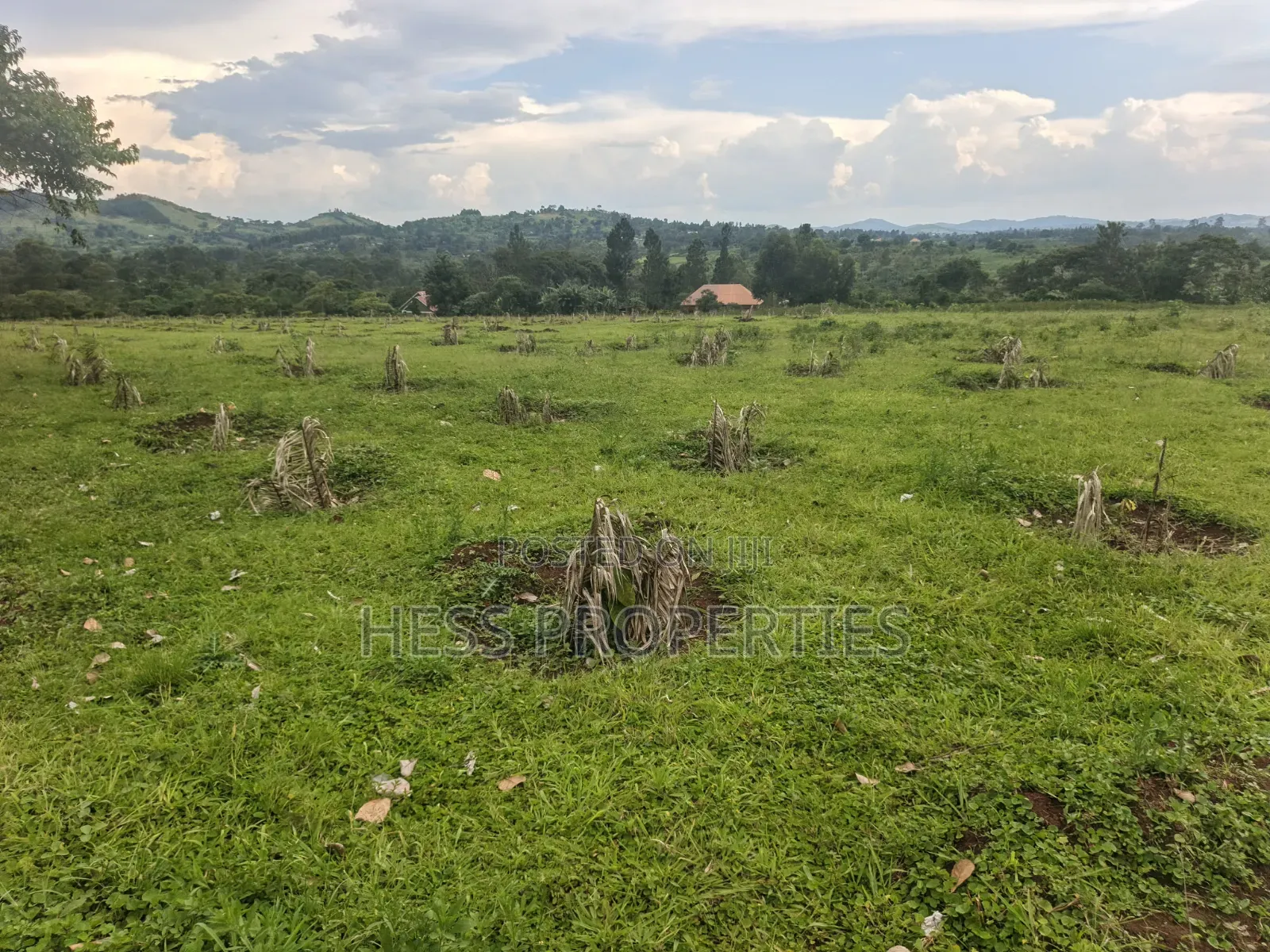 Commercial Land on Sale