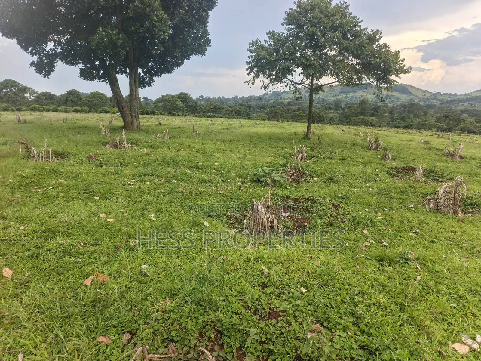 Commercial Land on Sale