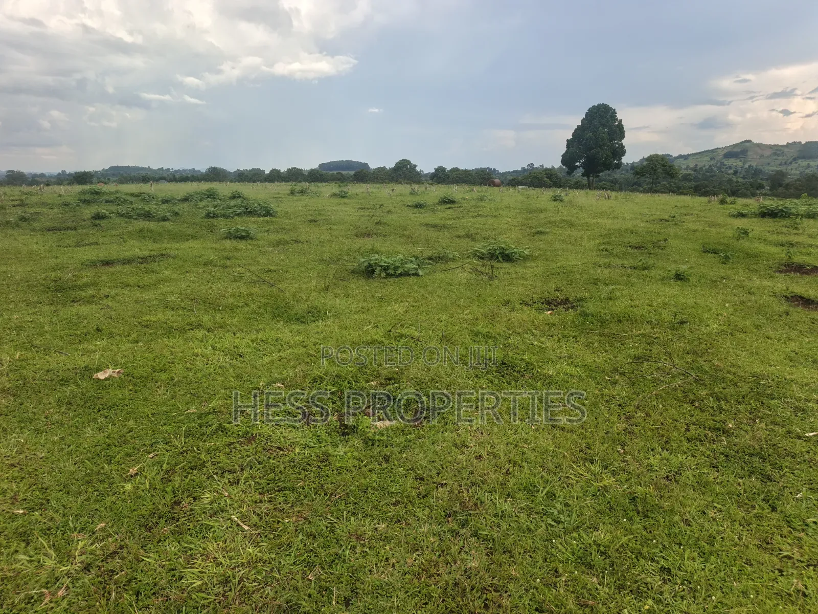 Commercial Land on Sale