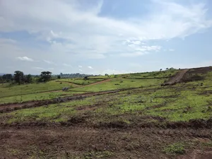 Wakiso Mabombwe