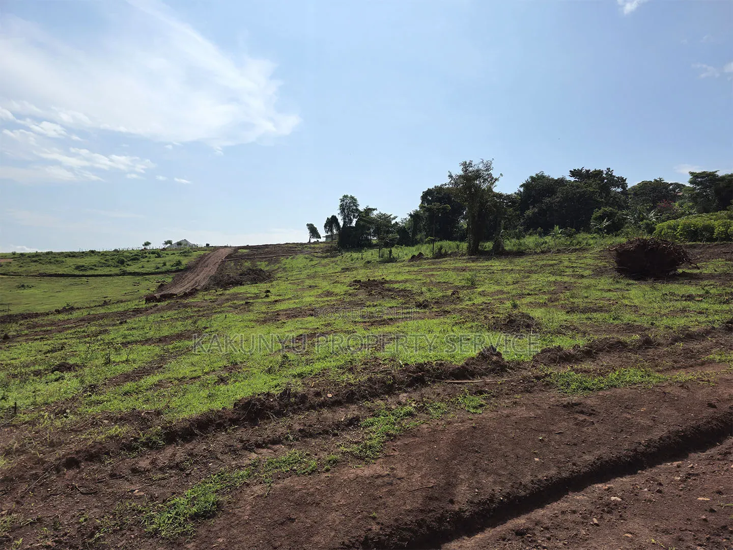 Wakiso Mabombwe