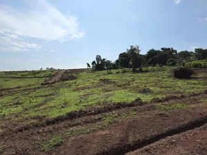 Wakiso Mabombwe