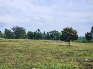 Gayaza Kiwenda