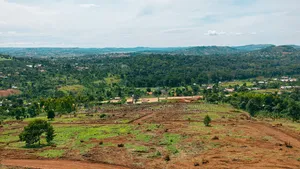Mpigi Mpambire