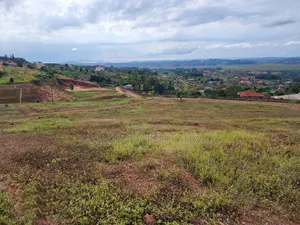 Entebbe- Ssisa (Lutaba)