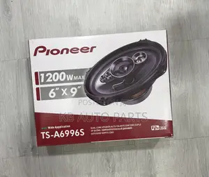 Pioneer Car Door Speakers Oval