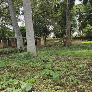  3 Acres of Lake Shore Land for Sale – Garuga, Entebbe Road