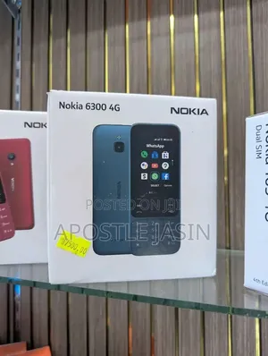 New Nokia 6300 Gray