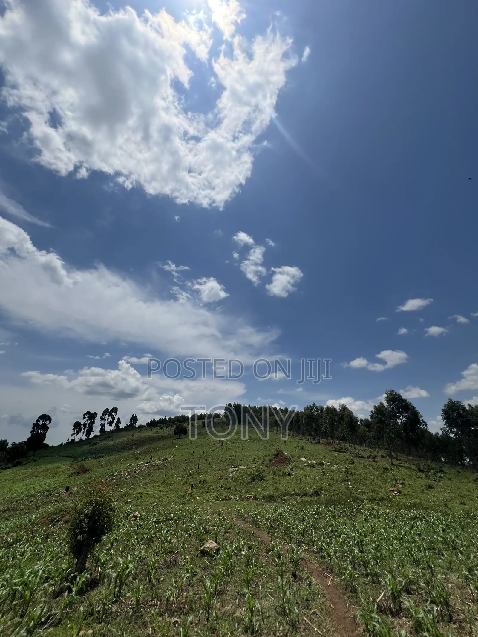 Ready Title 12 Acres 20m Per Acre
