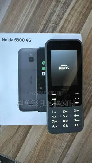 New Nokia 6300 Gray