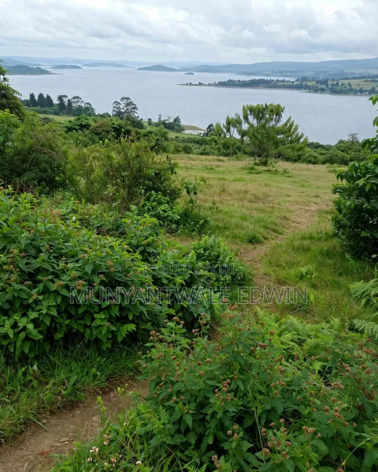 11 Acre Font Lake Commercial Land -Mukono