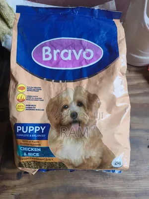 3-12 Months Dog