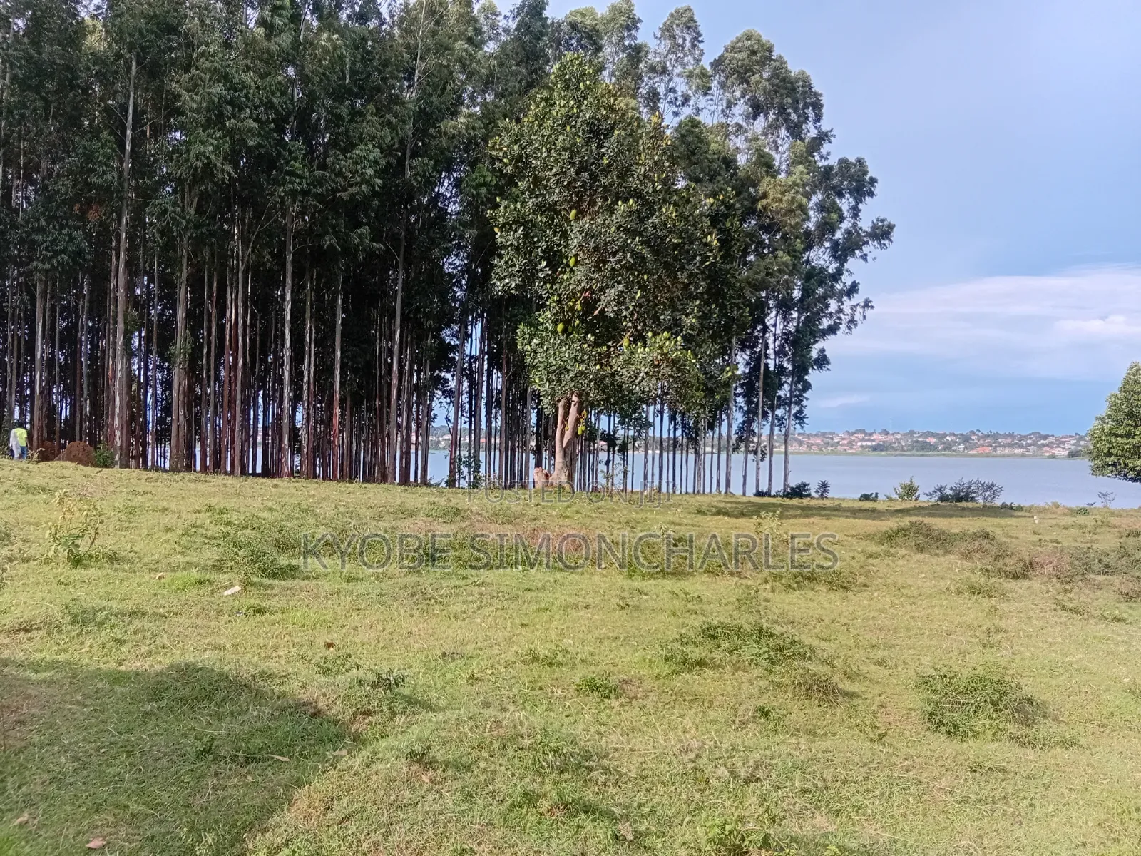 9 Acres Water Front Land on Sale in Entebbe