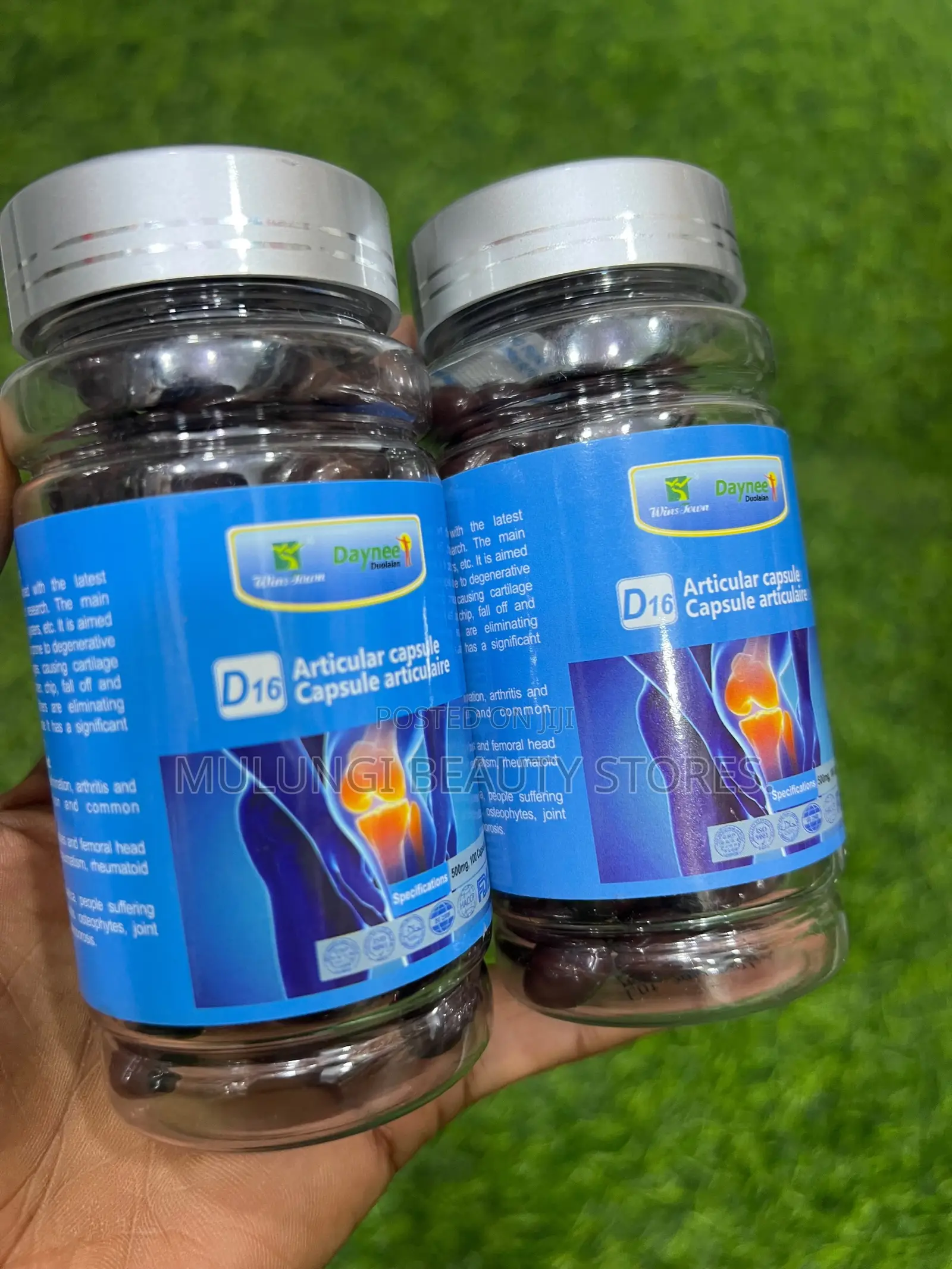 Daynee D16 Articular Capsule (Capsule Articulaire for Bones & Joints