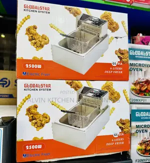 Commercial Electric Deep Fryer 6L
