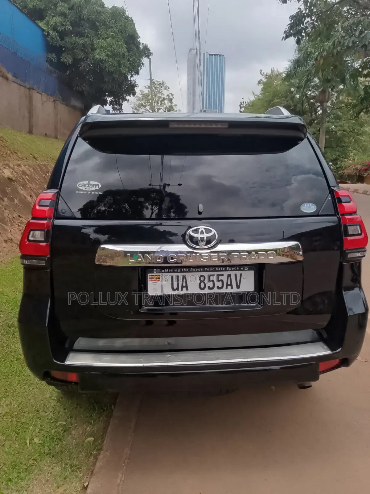Prado for Hire