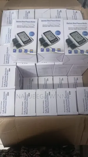 Electronic Blood Pressure Monitor
