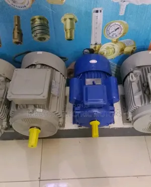 Brand New Original Electric Motors