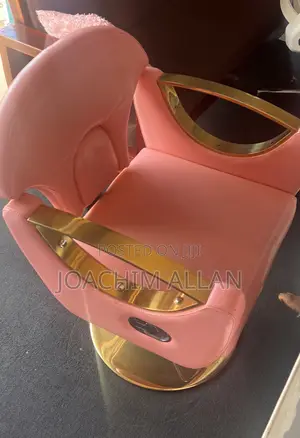 Salon Chair