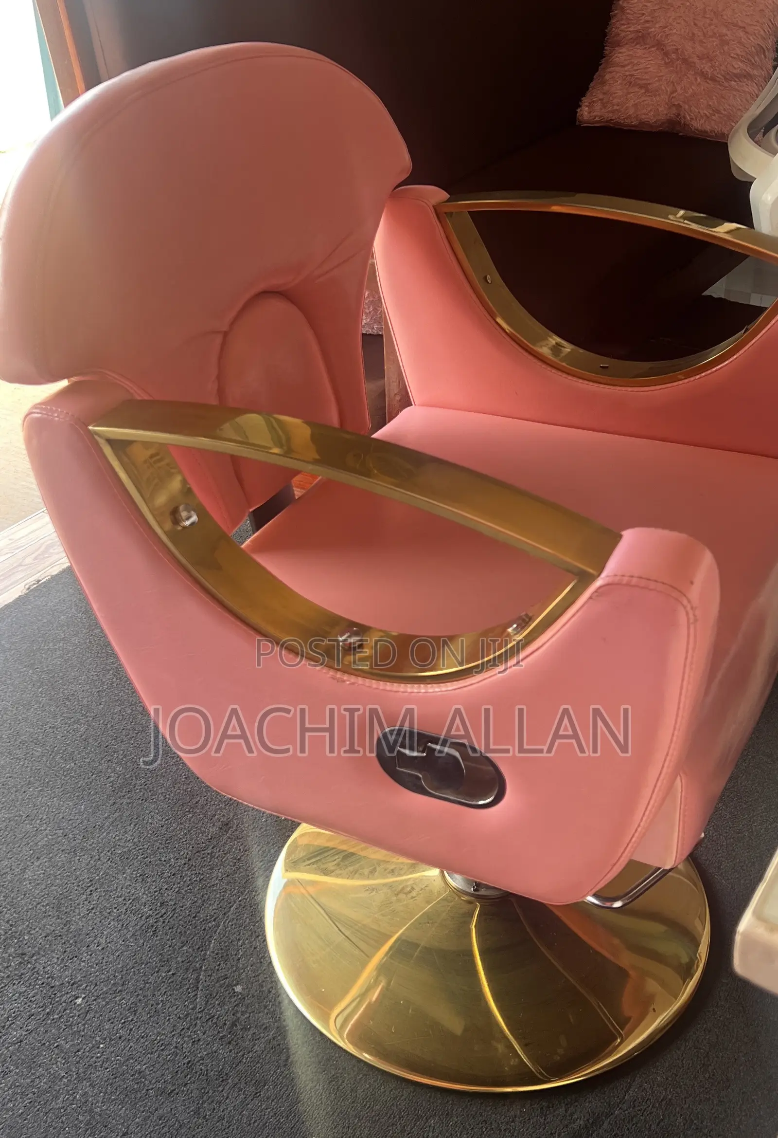 Salon Chair