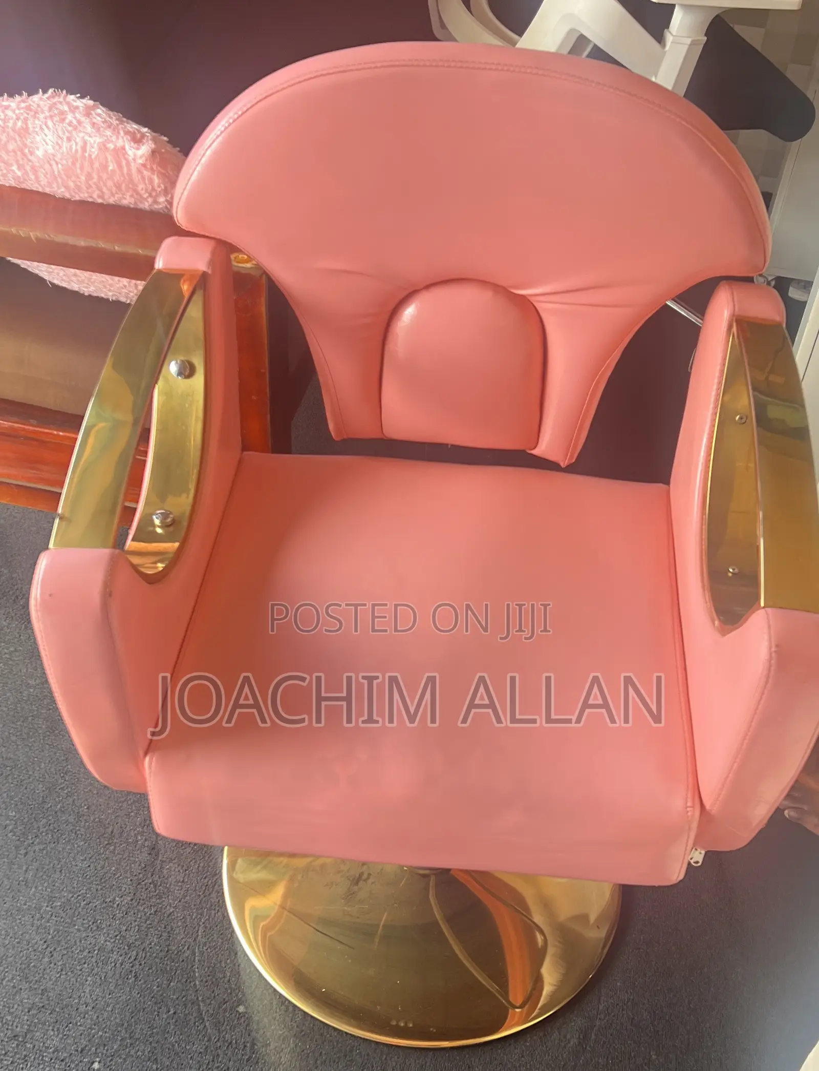 Salon Chair
