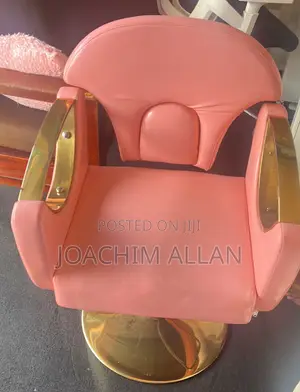Salon Chair