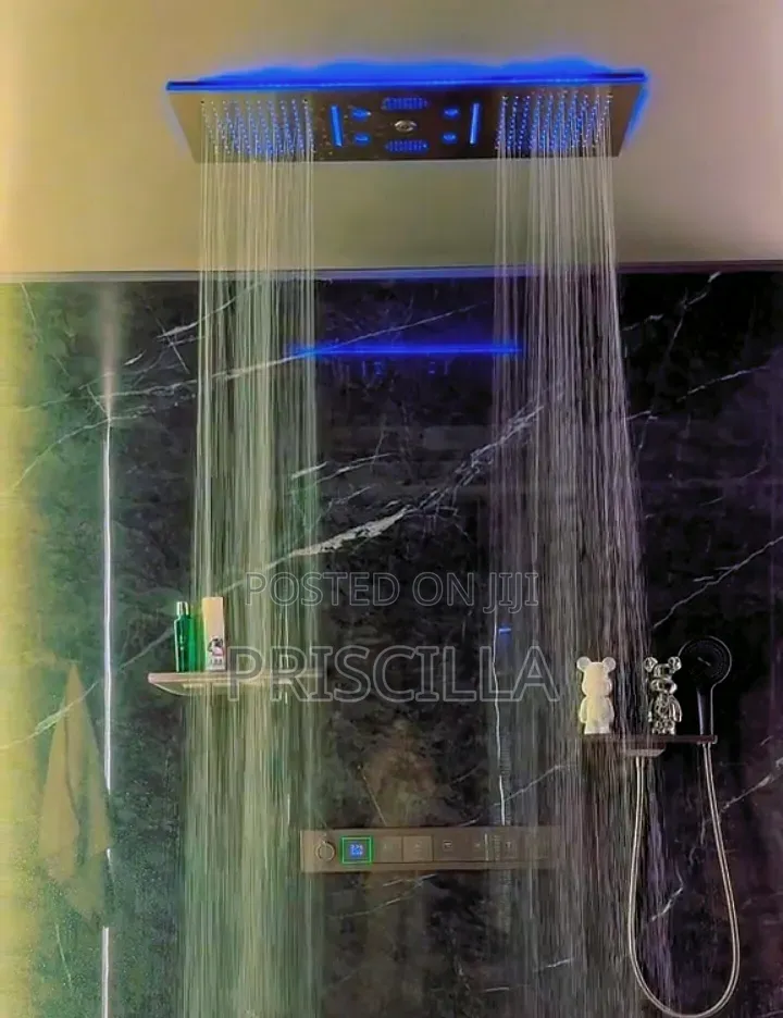 Concealed Ceiling Shower