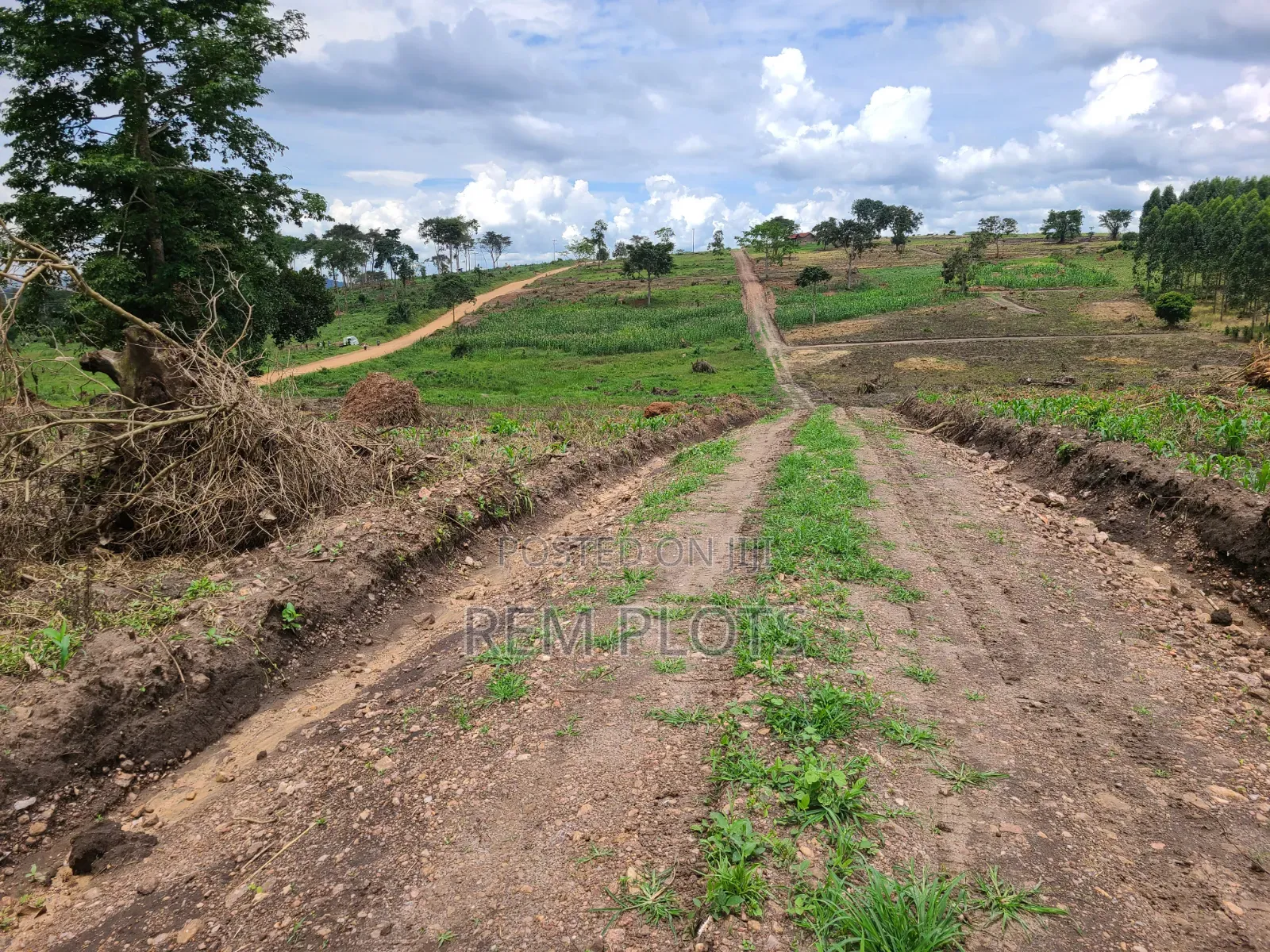 Land at Busunju