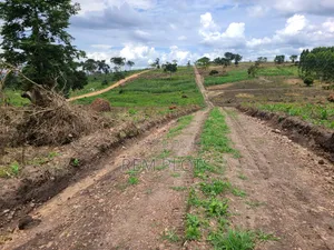 Land at Busunju