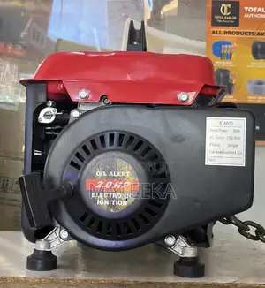 Electric Generator