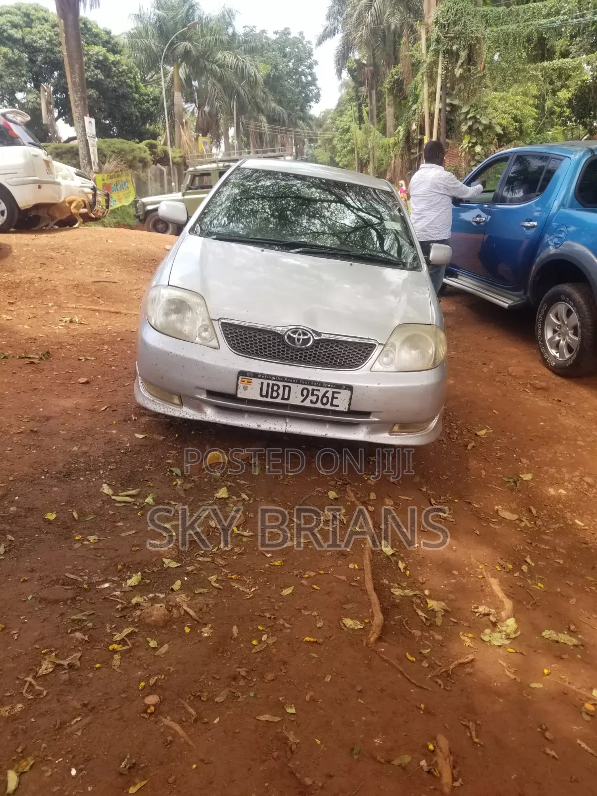 Toyota Allex 2006 Silver
