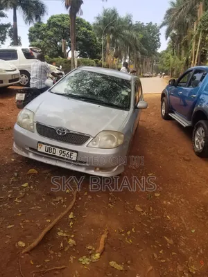 Toyota Allex 2006 Silver