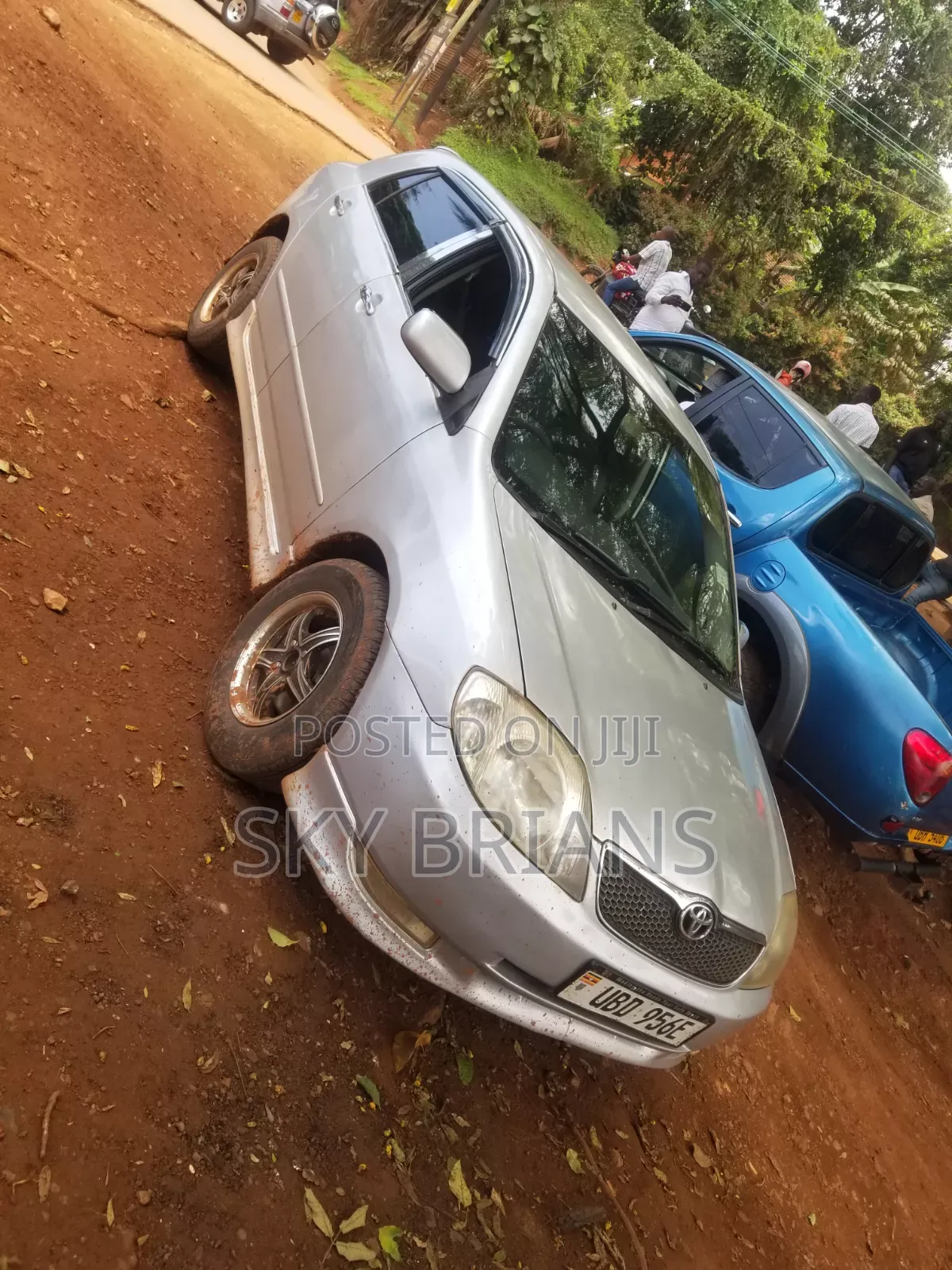 Toyota Allex 2006 Silver