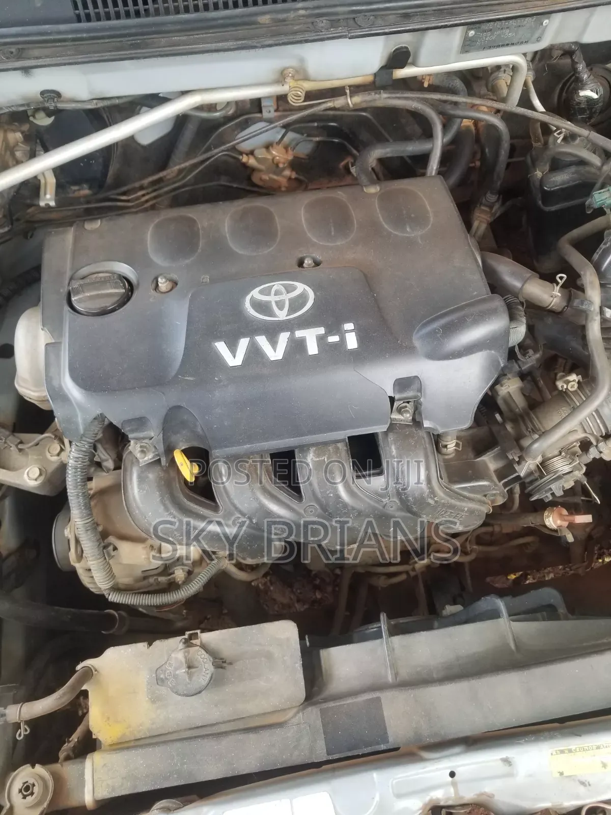 Toyota Allex 2006 Silver