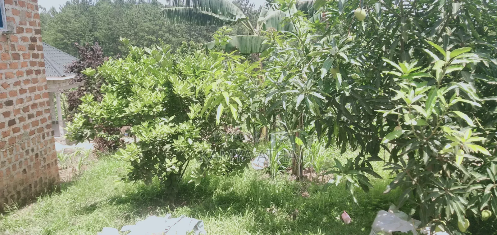 Land for Sell in Matugga Buwambo Road .