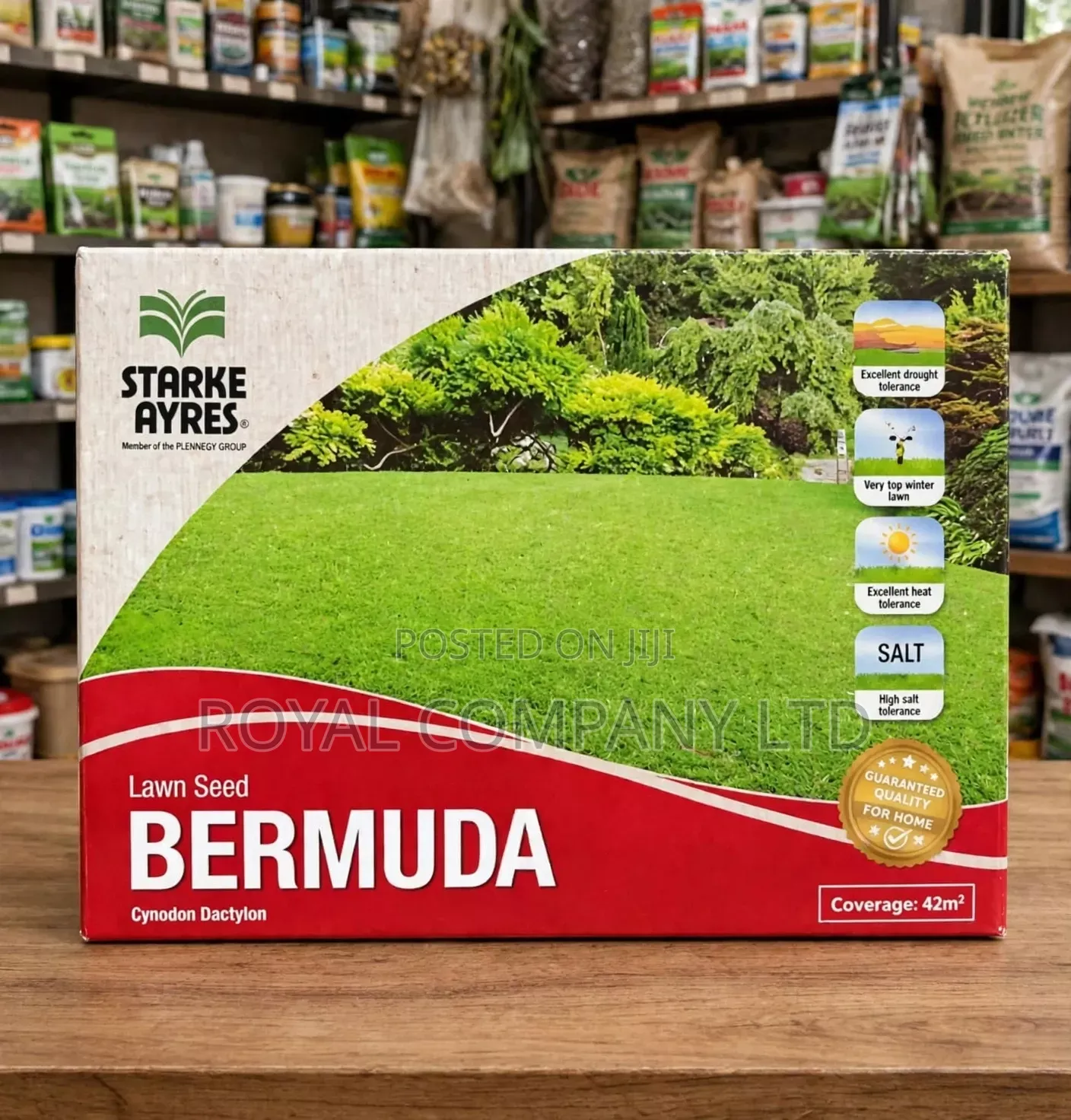 Bermuda Grass Lawn Seed 500gms